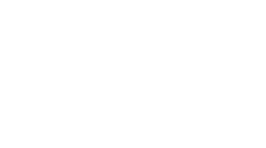 AP Driver School white transparent logo